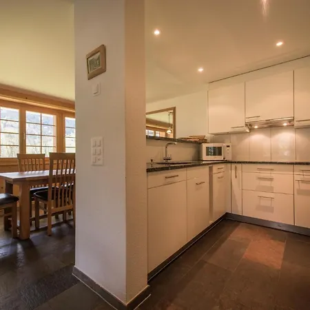 Lägenhet South Grindelwald