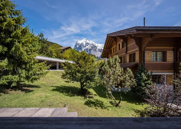 South * 格林德瓦